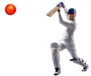 Cricket
