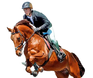 Horseracing